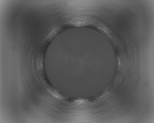 X0000068260499200604241235