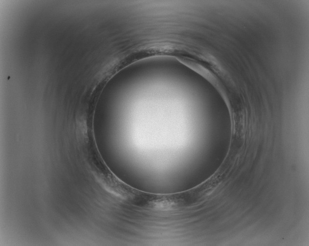 X0000068260500200604241235