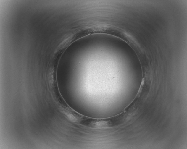 X0000068260501200604241235