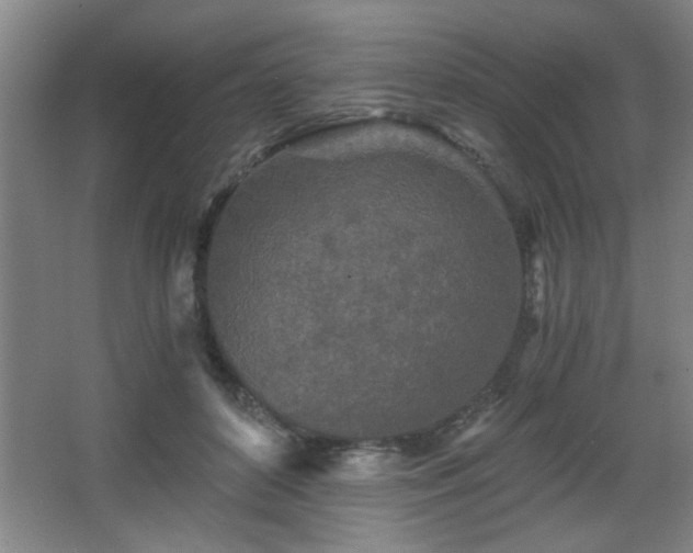 X0000068260504200604241235