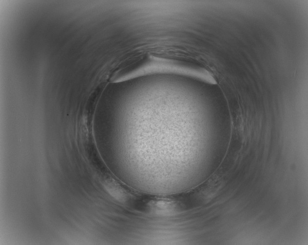 X0000068260506200604241235