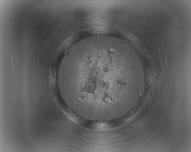 X0000068260507200604241235