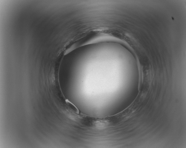 X0000068260508200604241235