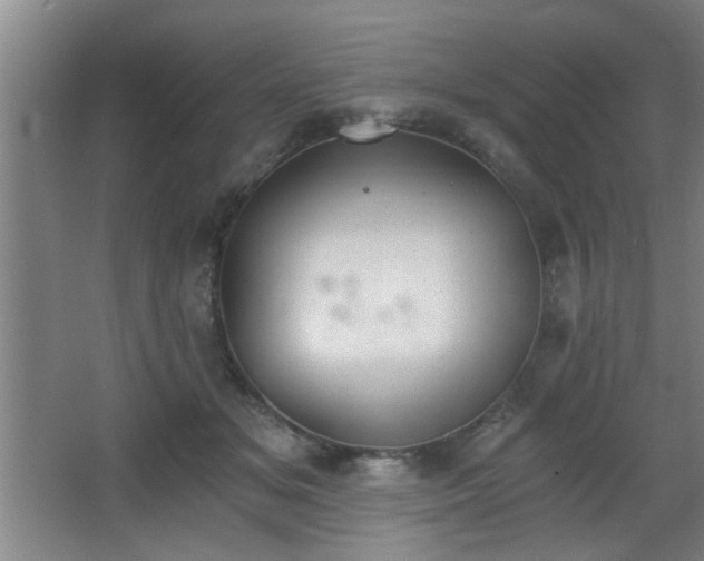 X0000068260509200604241235