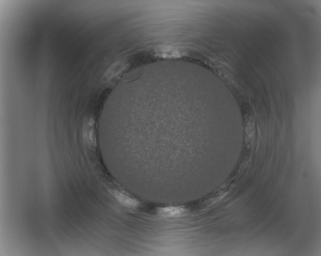 X0000068260511200604241235