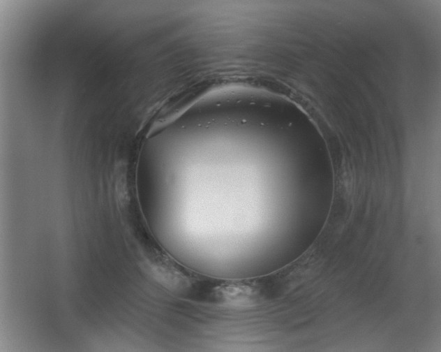 X0000068260512200604241235