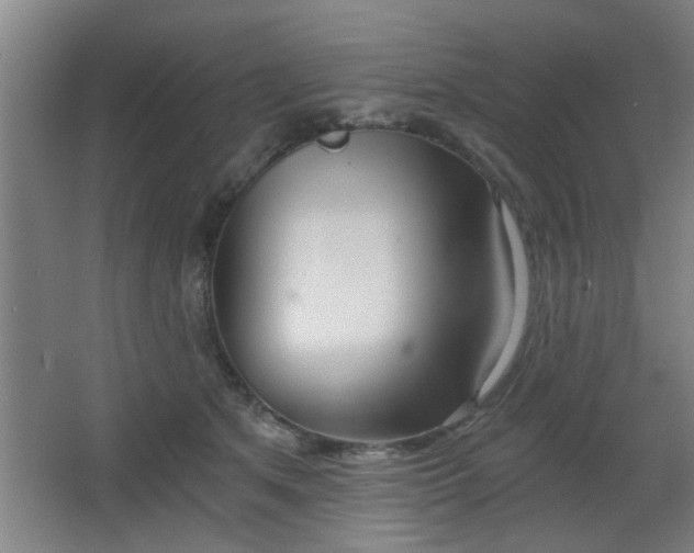 X0000068260513200604241235