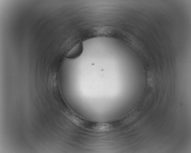 X0000068260514200604241235