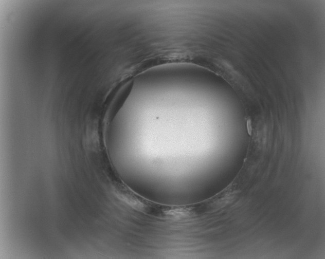 X0000068260516200604241235