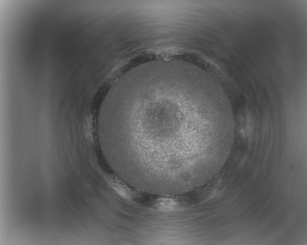 X0000068260519200604241235