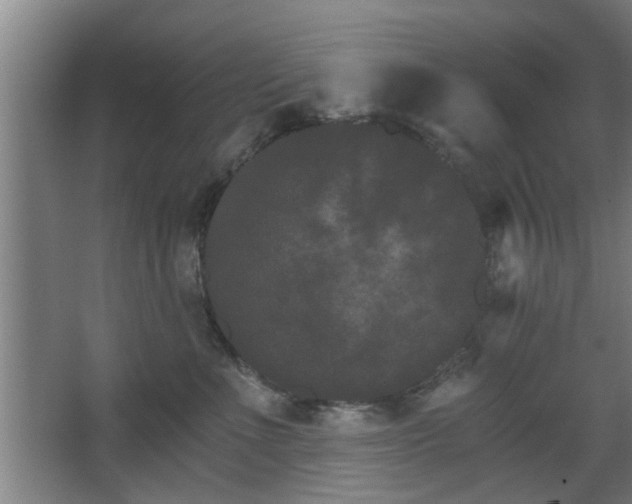 X0000068260523200604241235