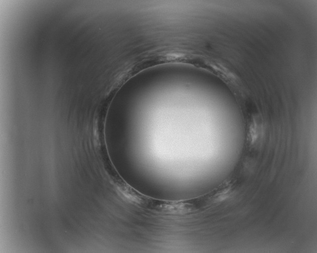 X0000068260524200604241235