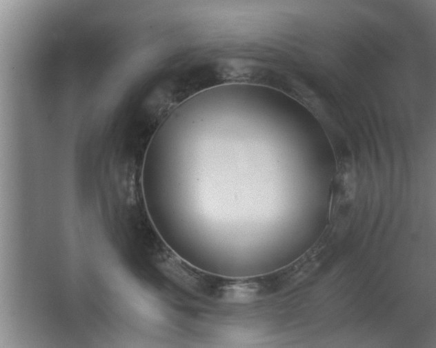 X0000068260525200604241235