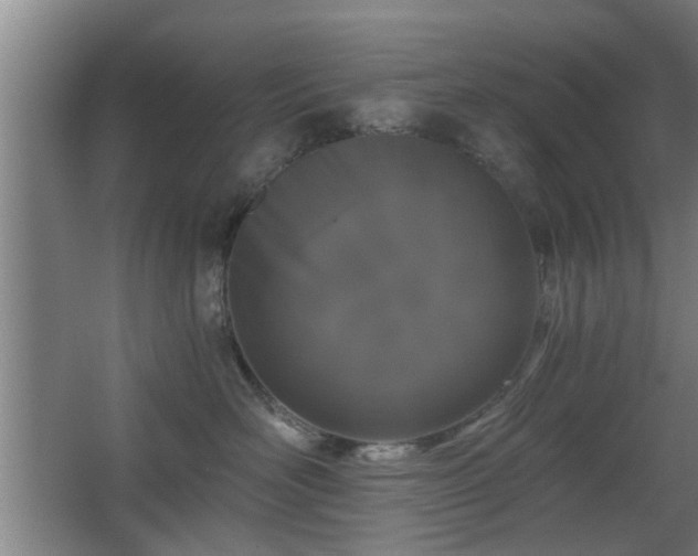 X0000068260526200604241235