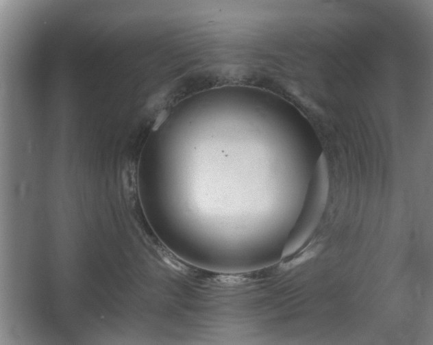 X0000068260528200604241235