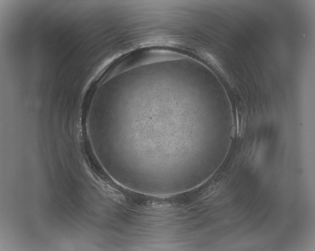 X0000068260531200604241234