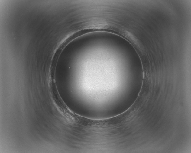 X0000068260532200604241234