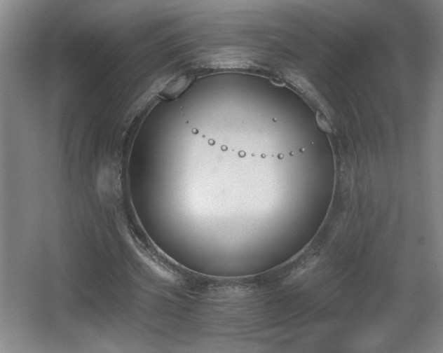 X0000068260533200604241234