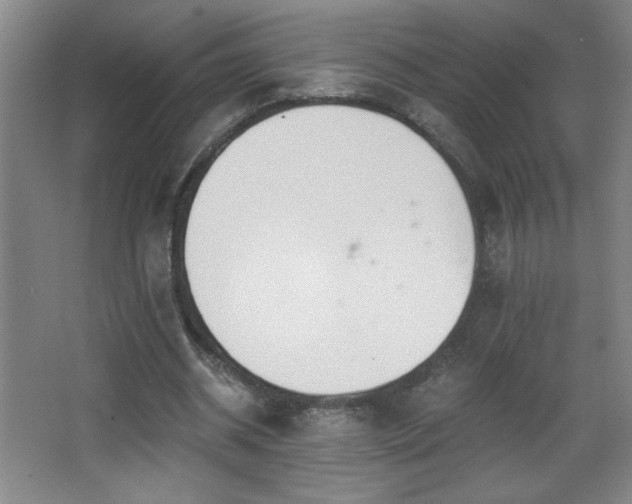 X0000068260534200604241234