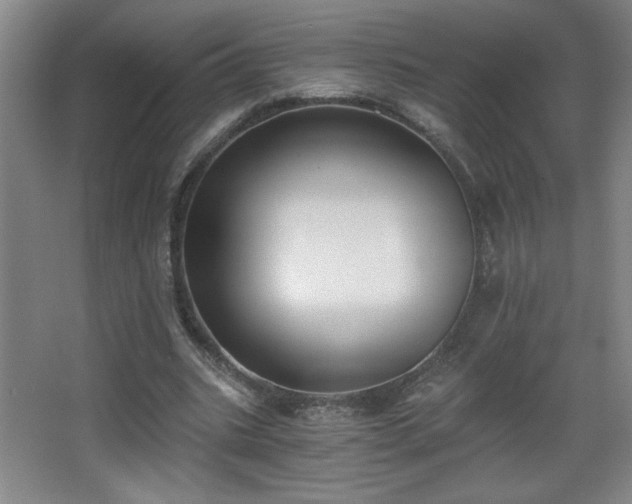 X0000068260535200604241234