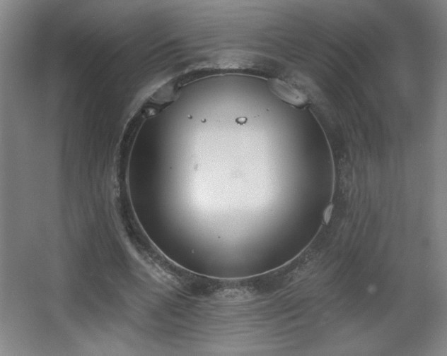 X0000068260536200604241234