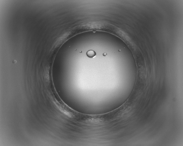 X0000068260537200604241234