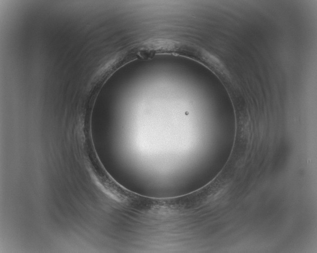 X0000068260538200604241234