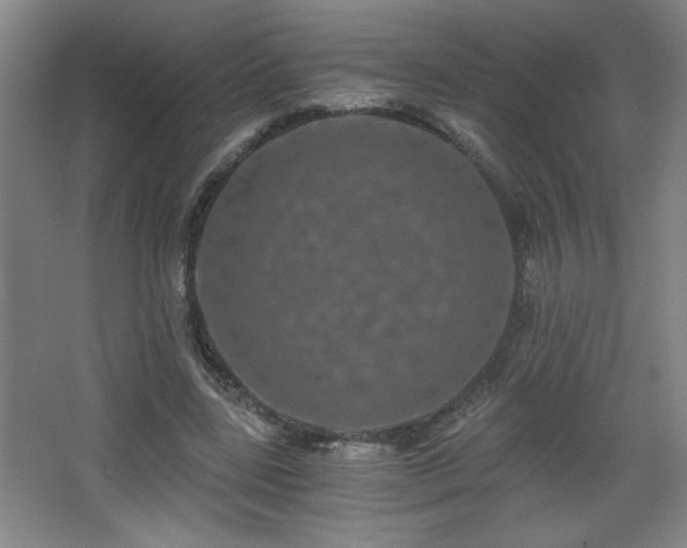 X0000068260539200604241234