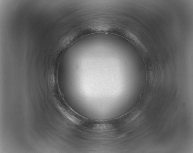 X0000068260541200604241234