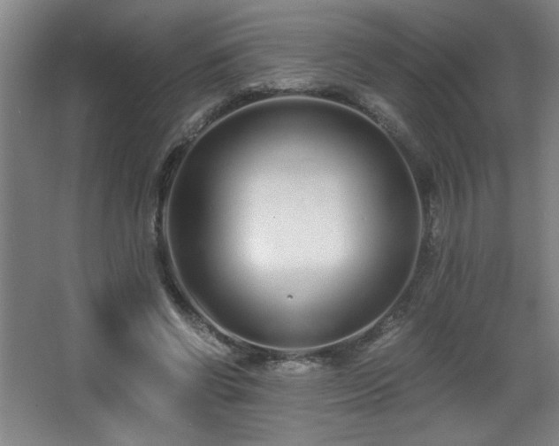 X0000068260542200604241234