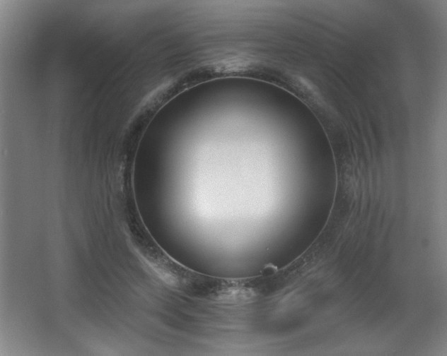 X0000068260543200604241234