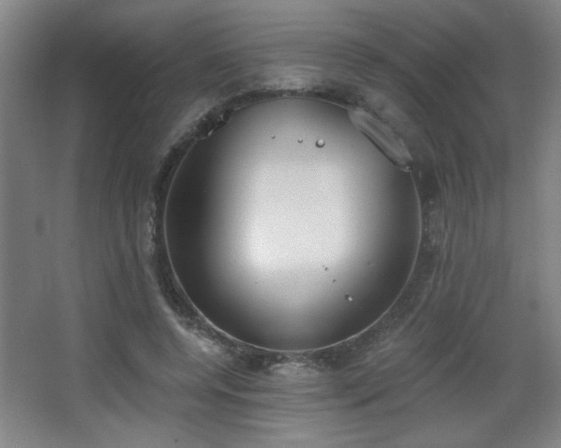 X0000068260544200604241234