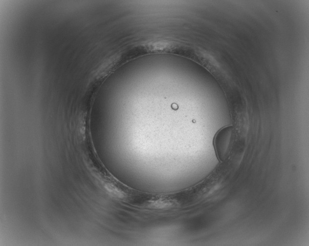 X0000068260545200604241234