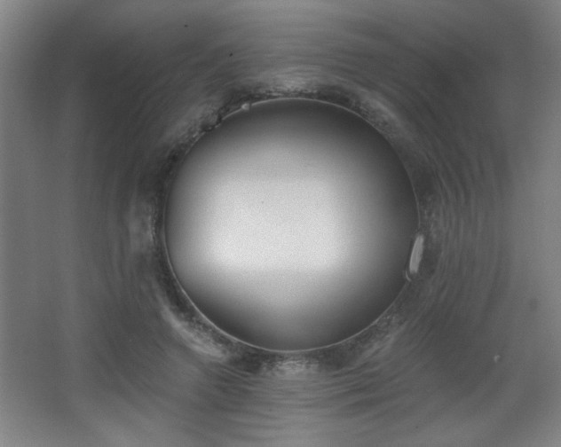 X0000068260546200604241234