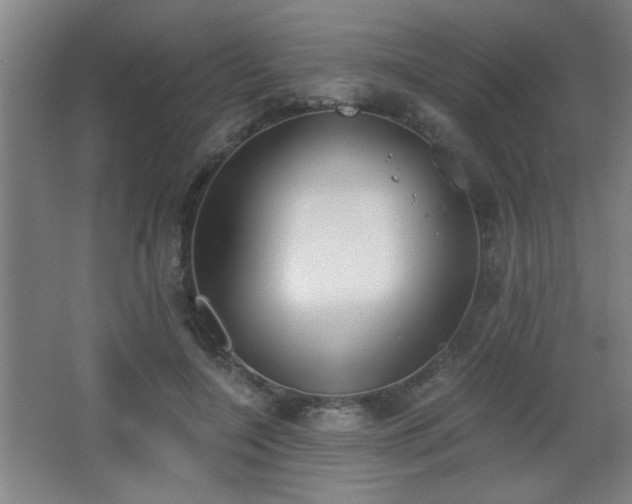 X0000068260548200604241234