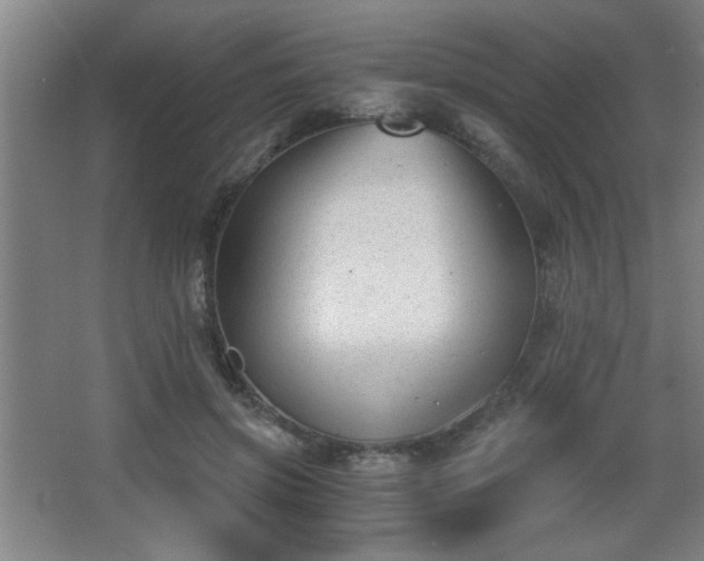 X0000068260549200604241234