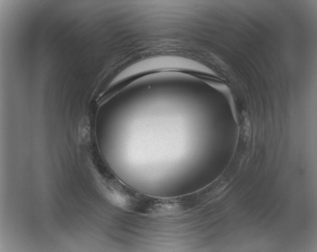 X0000068260552200604241234