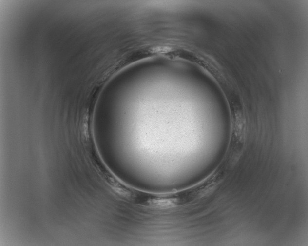 X0000068260553200604241234