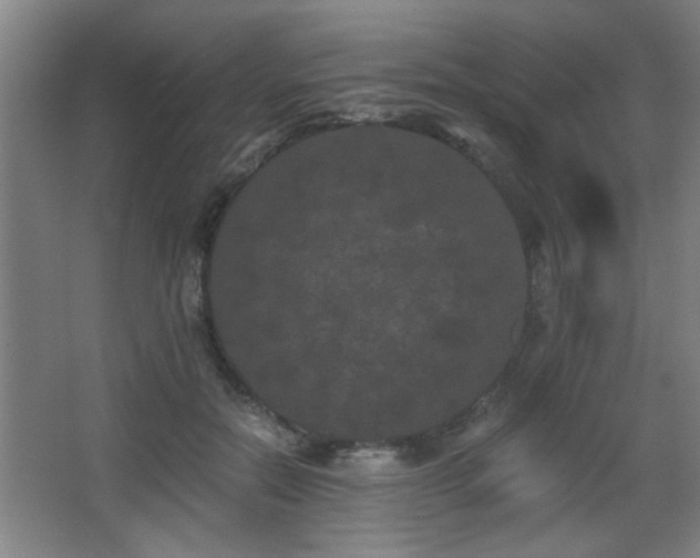 X0000068260554200604241234