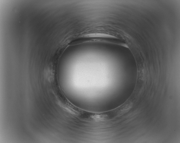 X0000068260558200604241234