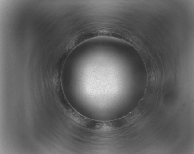 X0000068260559200604241234