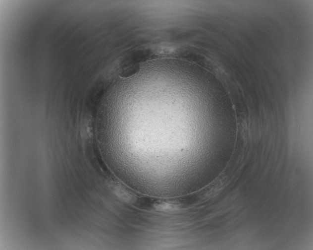 X0000068260561200604241234