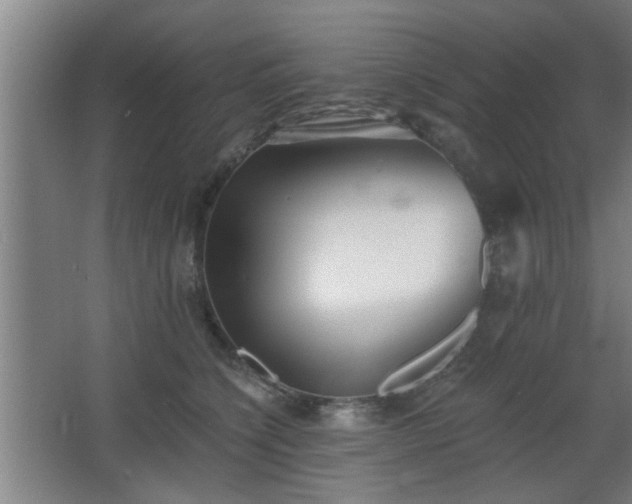 X0000068260564200604241234