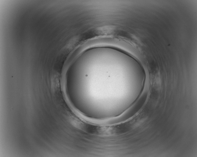 X0000068260570200604241235