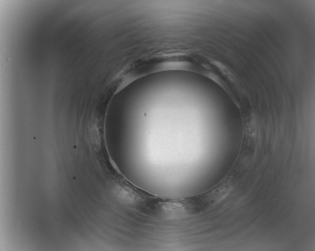 X0000068260572200604241235