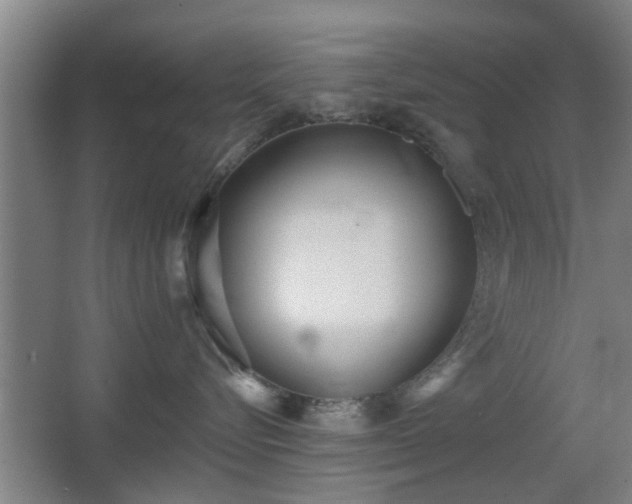 X0000068260576200604241235