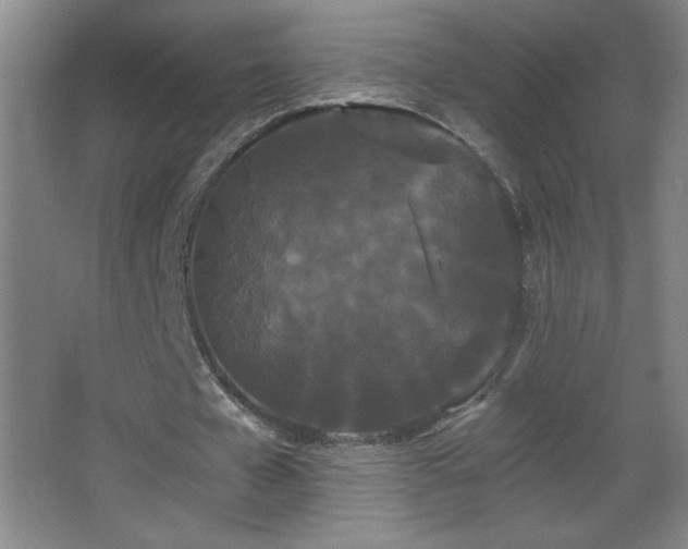 X0000068260577200604241234