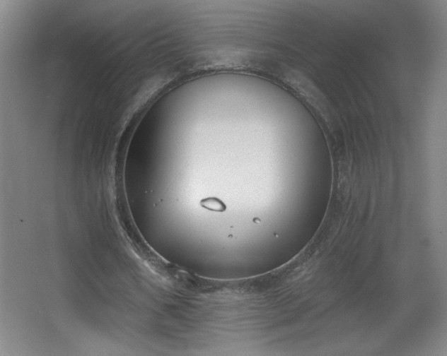 X0000068260578200604241234