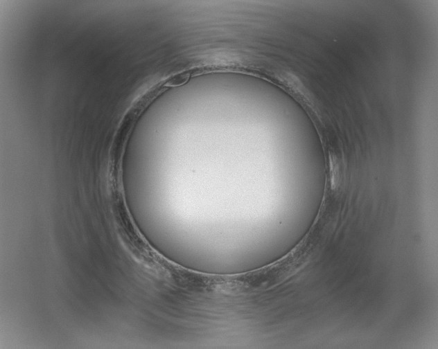 X0000068260579200604241234