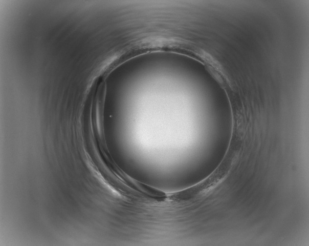 X0000068260581200604241234